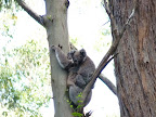 P1020106.JPG