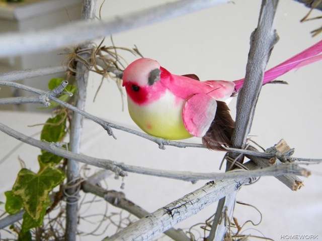 [Pink%2520Bird%25201%255B8%255D.jpg]