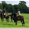 Light Horse 006.jpg