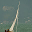 Régate d'entraînement n°17 - 2008