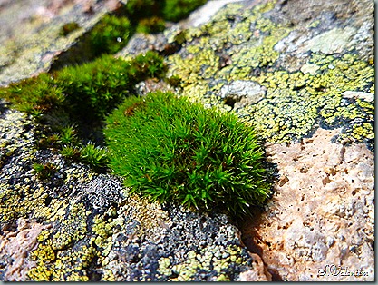 P1200250 P1200250