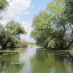 IMG_3397.JPG