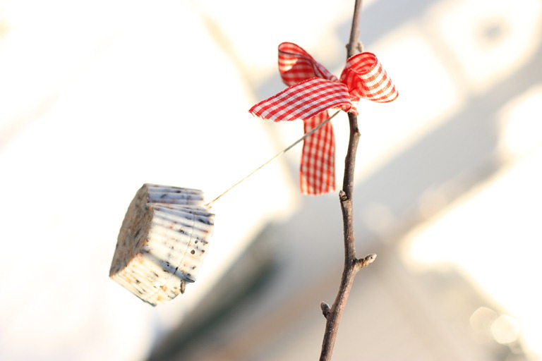 [IMG_1708%255B5%255D.jpg]