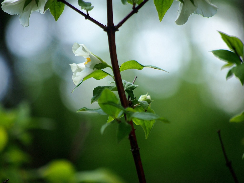 [9%2520July%25206%255B3%255D.jpg]