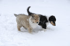 _DSC0042.JPG