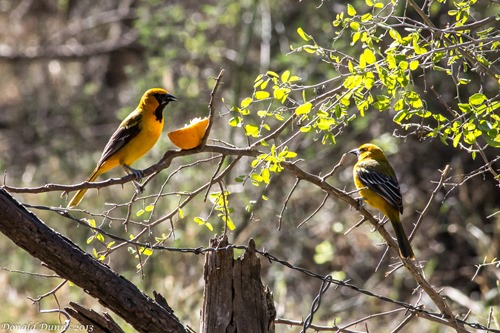 [130226_E-5%255B4%255D.jpg]