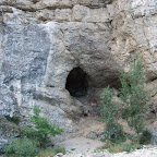 131.jpg