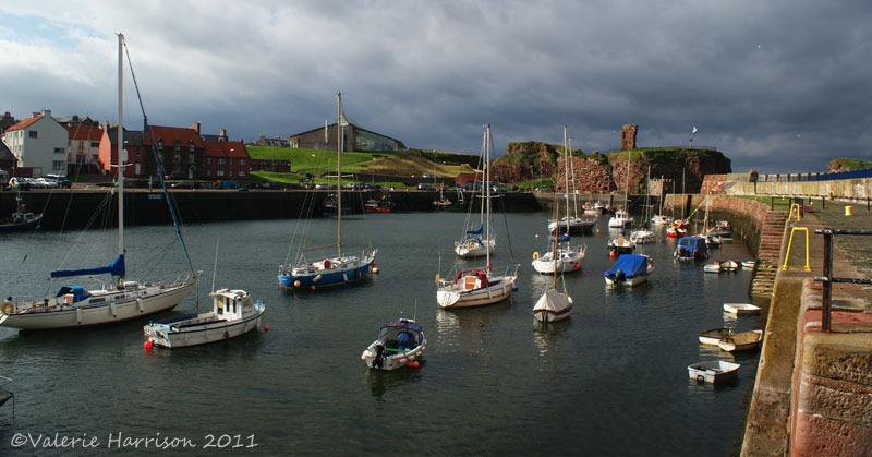 [24-harbour%255B2%255D.jpg]