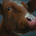 Object: 21111 - Portret 22 - 40 x 40 cm - € 2300.= Object: 21111 - Portret 22 - 40 x 40 cm - € 2300.=