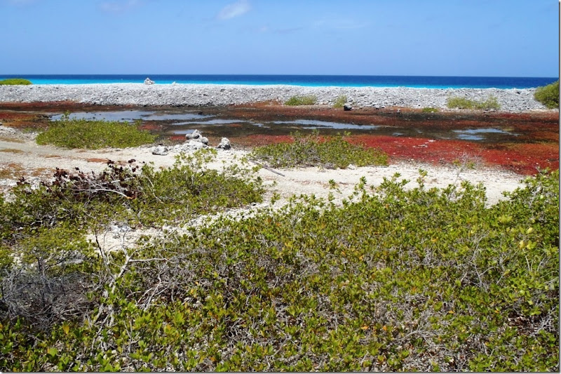 021a suedweststrand bonaire