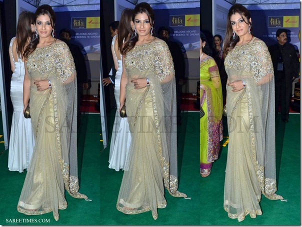 Raveena_Tandon_Embroidery_Shimmer_Saree_IIFA_Awards