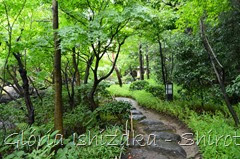 49 - Glória Ishizaka - Shirotori Garden