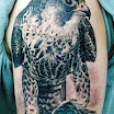 Falcon