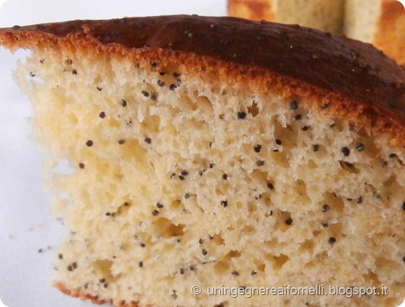 kalàcs semi papavero pane dolce brioches unghere ungheria panna acida kalàcs semi papavero pane dolce brioches unghere ungheria panna acida