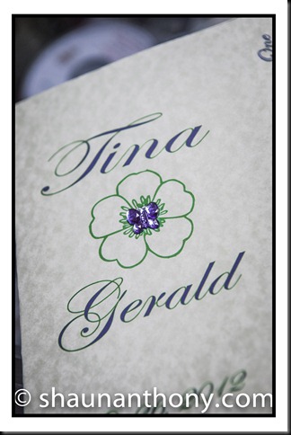 TIna & Gerald Blog-21