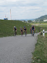 IMG_1542.jpg