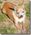 Pac-sun-bathing Pac-sun-bathing