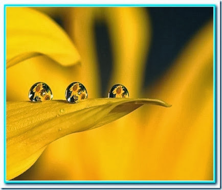 Gotas de fé Gotas de fé
