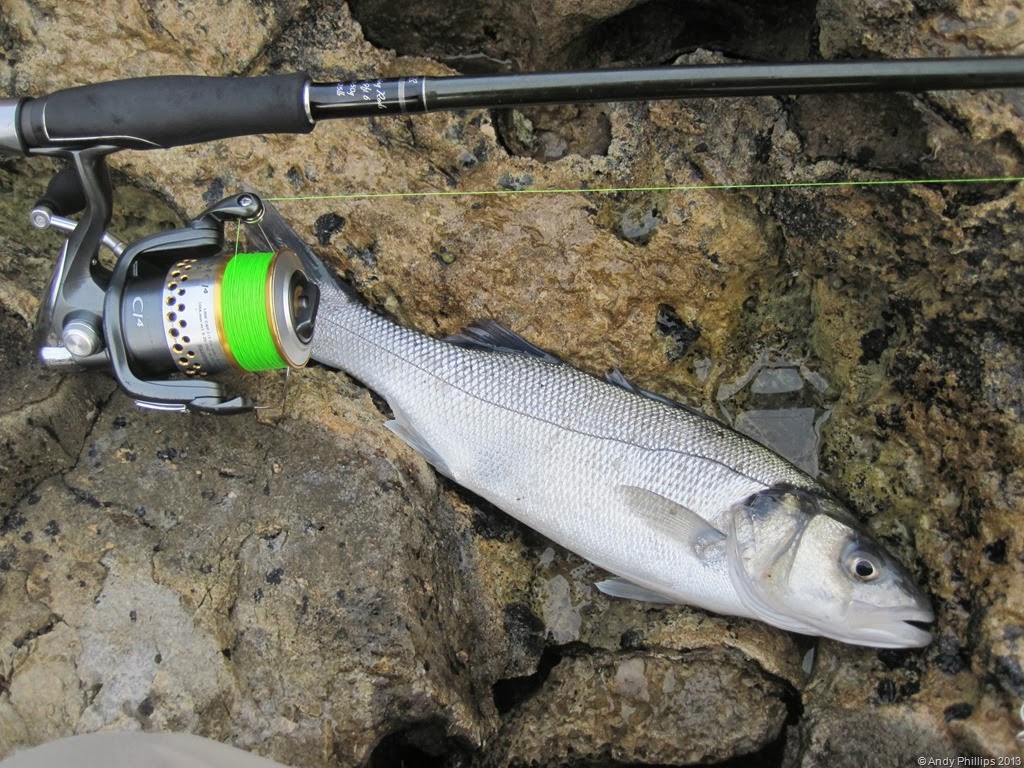 [IMG_1611%255B9%255D.jpg]