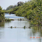 DSCN4169.JPG
