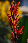 DSC_8540.jpg