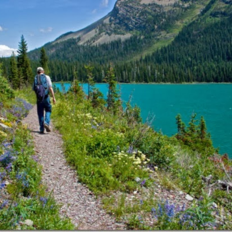 The Best Places in Asia to Travel Alone Best Places to Travel