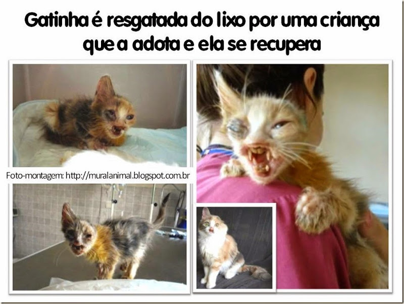 Sintomas de parasita e tratamento
