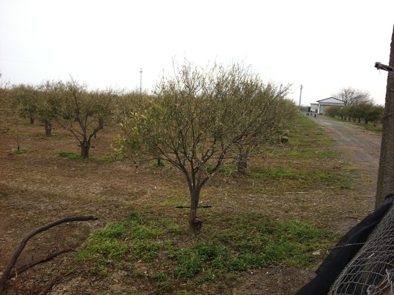 [IMG_2610%255B2%255D.jpg]