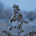 DSLR Filtre: polarizare & ND4/ND8 D60 Polarizare Diverse%252520%25252812%252529 DSLR Filtre: polarizare & ND4/ND8