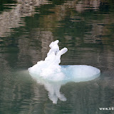 Escultura de gelo - Dançando com o Carteiro