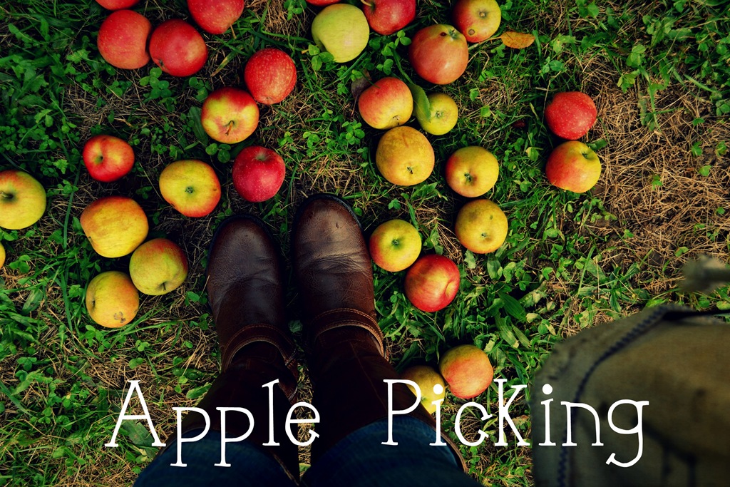 [apples1%255B4%255D.jpg]