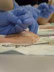 Suturing at UPRAS 2009