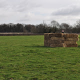 DSC_0012.jpg