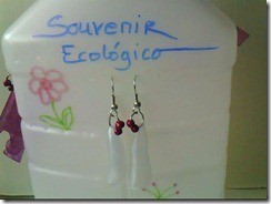 souvenir_ecologico (15)