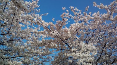2015-04-02 08.12.36.jpg