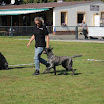 IMG_2841.JPG