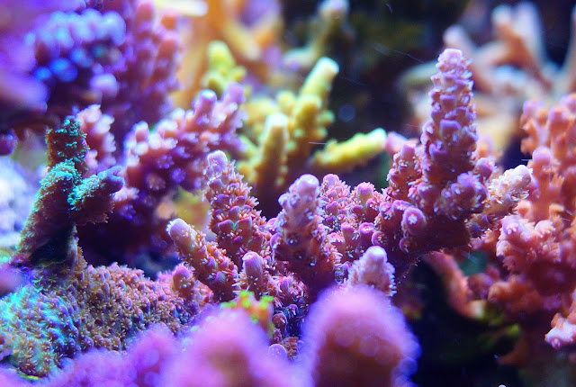 2012_%2525207_29_%2525201_21.jpg