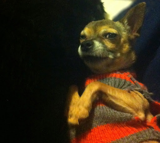 Upon mom's return from St. Louis, Minnow had this to say, Upon mom's return from St. Louis, Minnow had this to say,