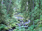 columbia_river_gorge
