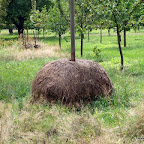 20100815_064_small.JPG