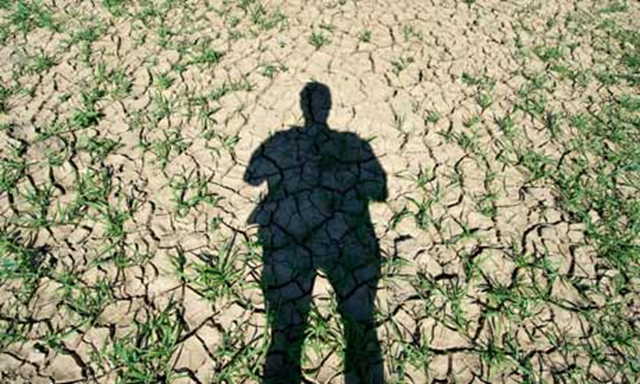 A human shadow is seen on a dried out field after drought in Germany. Photo: Patrick Pleul / EPA