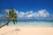 Day trips to white sand beaches like this one on Hawaii's South shore.