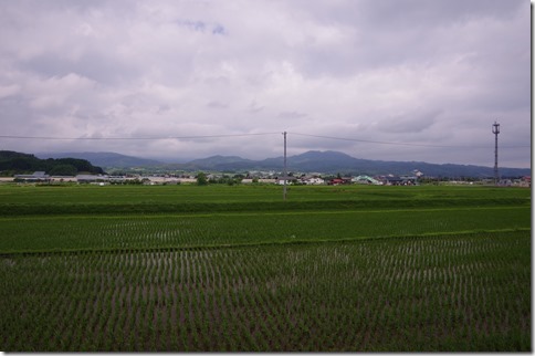 IMGP3987 IMGP3987