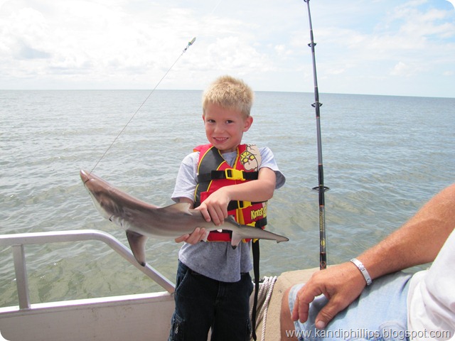 IMG_6480 IMG_6480