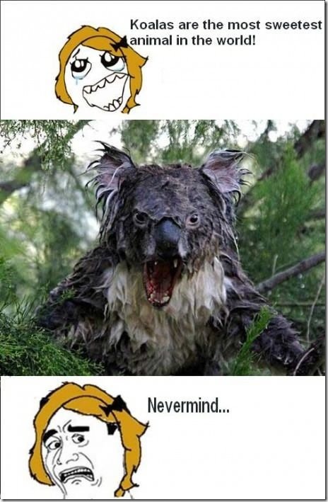 viral-picdump-pics-bb68ca