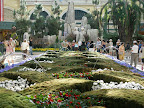 Dancing fountains at the Bellagio Conservatory and Botanical Garden.