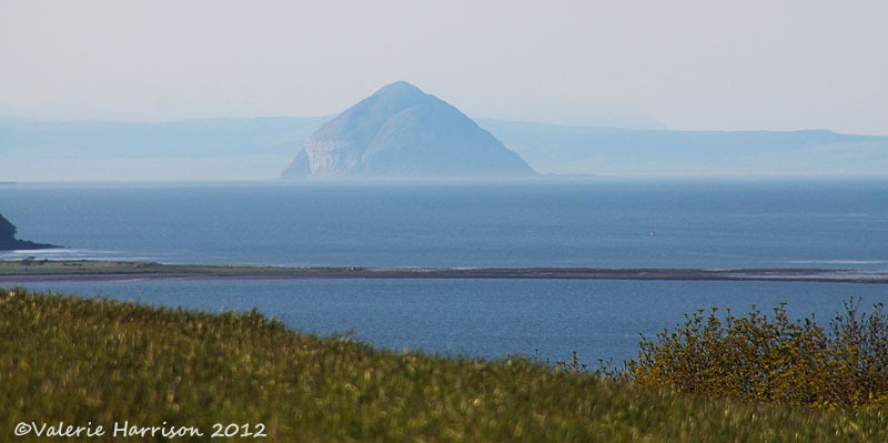 [2-Ailsa%255B2%255D.jpg]
