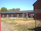 View to back yard View to back yard