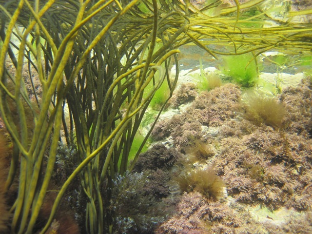 [IMG_0560%255B5%255D.jpg]