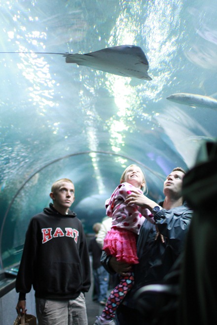 IMG_4907 IMG_4907